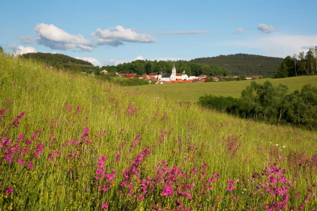 Pošumaví, Žihobce s kostelem